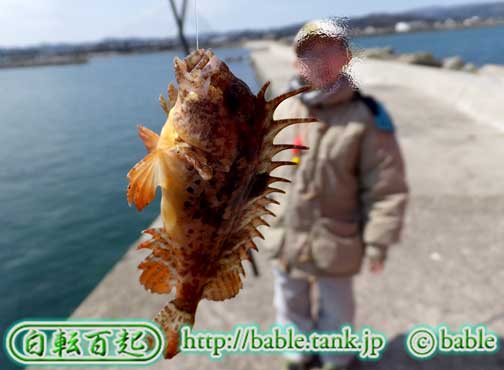 花穂五郎が海で初めて釣り上げた獲物